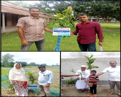 বৃক্ষরোপণ